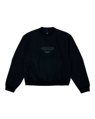 ADER ERROR-PRESS APPLE SWEATER-BO01FWSW0105BK