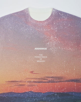 ADER ERROR-HALF S PULL OVER TEE SHIRT-BO01SSKT0503OR
