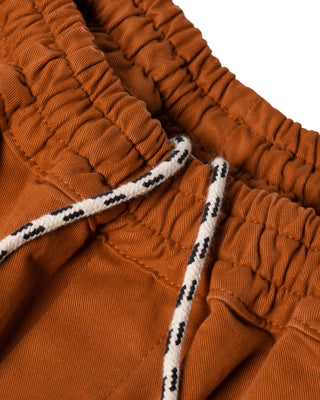 ARIES-MINI PROBLEMO WORK PANT BRICK -FUAR30115