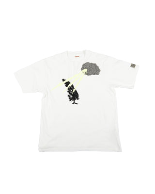 KAPITAL -20/ JERSEY CRE T (THUNDER & CONIFER) K2304SC129