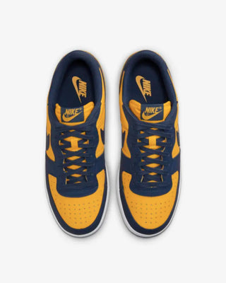 NIKE -  TERMINATOR LOW UNIVERSITY GOLD AND NAVY FJ4206-700