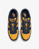 NIKE -  TERMINATOR LOW UNIVERSITY GOLD AND NAVY FJ4206-700